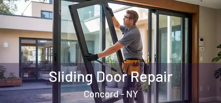  Sliding Door Repair Concord - NY
