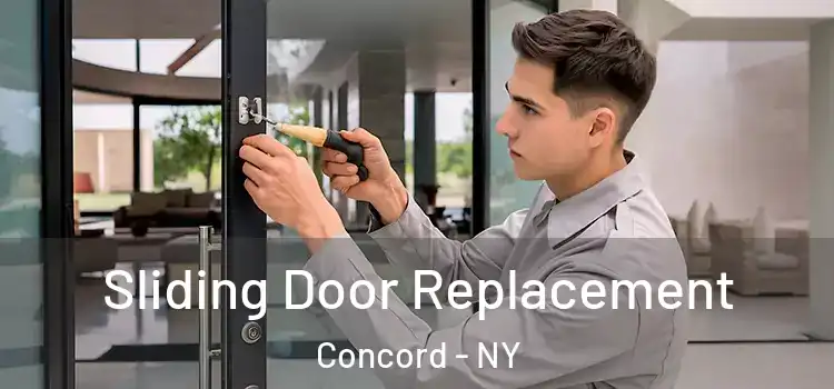  Sliding Door Replacement Concord - NY