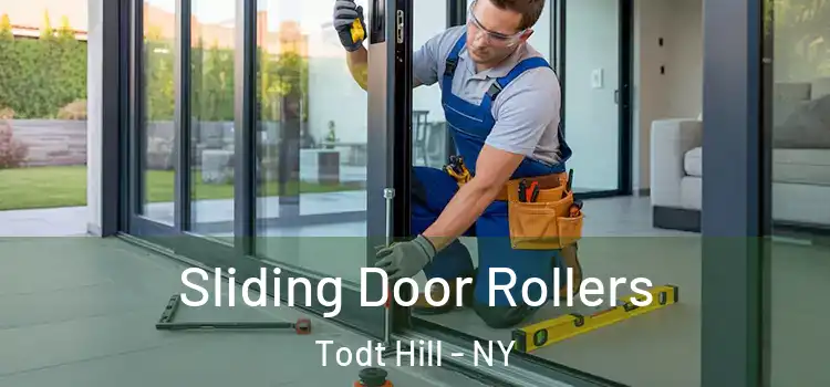 Sliding Door Rollers Todt Hill - NY