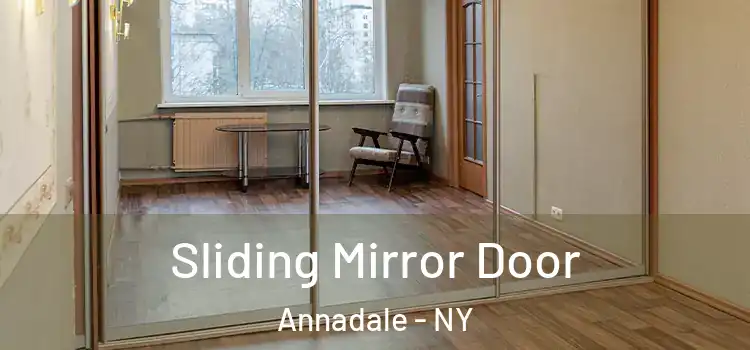  Sliding Mirror Door Annadale - NY