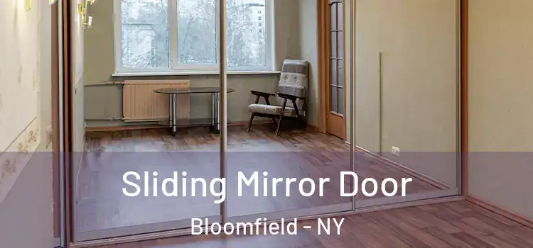  Sliding Mirror Door Bloomfield - NY