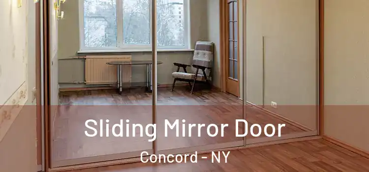  Sliding Mirror Door Concord - NY