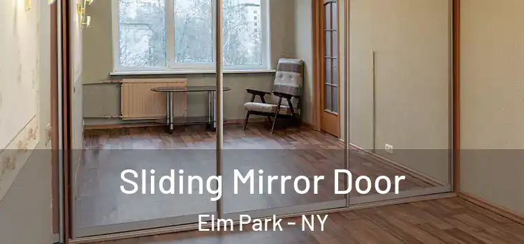  Sliding Mirror Door Elm Park - NY