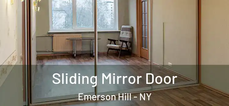  Sliding Mirror Door Emerson Hill - NY