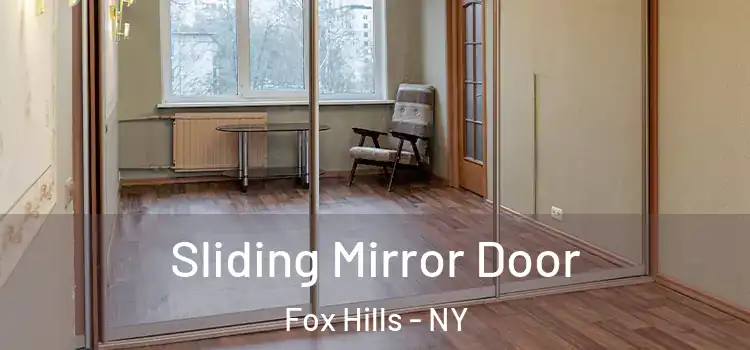  Sliding Mirror Door Fox Hills - NY