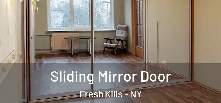  Sliding Mirror Door Fresh Kills - NY