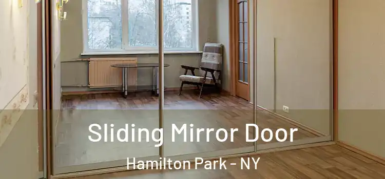  Sliding Mirror Door Hamilton Park - NY