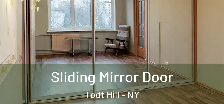  Sliding Mirror Door Todt Hill - NY