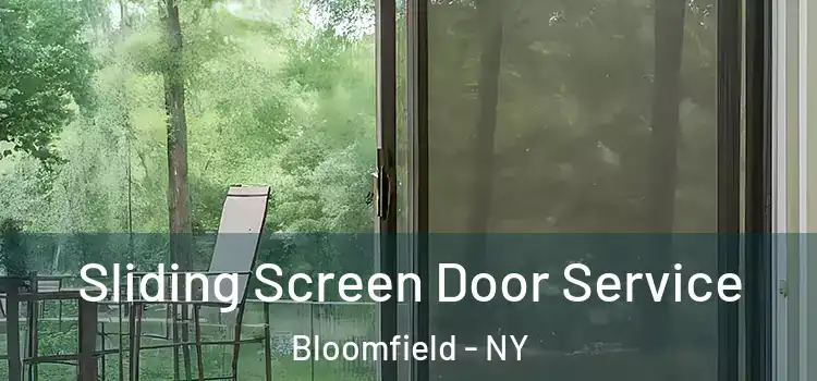  Sliding Screen Door Service Bloomfield - NY