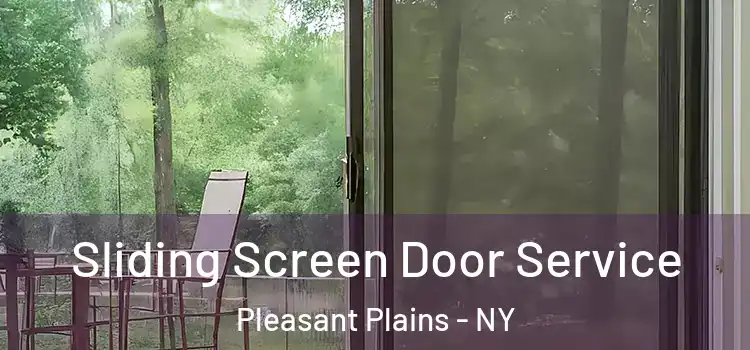  Sliding Screen Door Service Pleasant Plains - NY