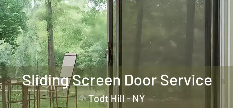 Sliding Screen Door Service Todt Hill - NY