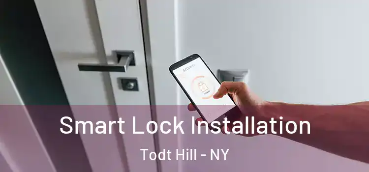  Smart Lock Installation Todt Hill - NY