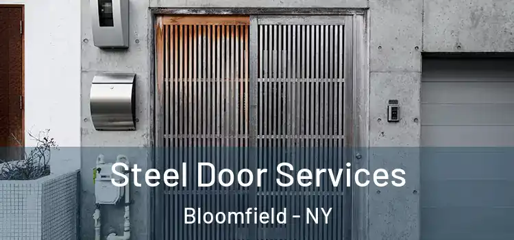 Steel Door Services Bloomfield - NY