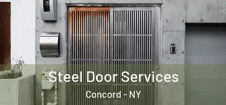  Steel Door Services Concord - NY