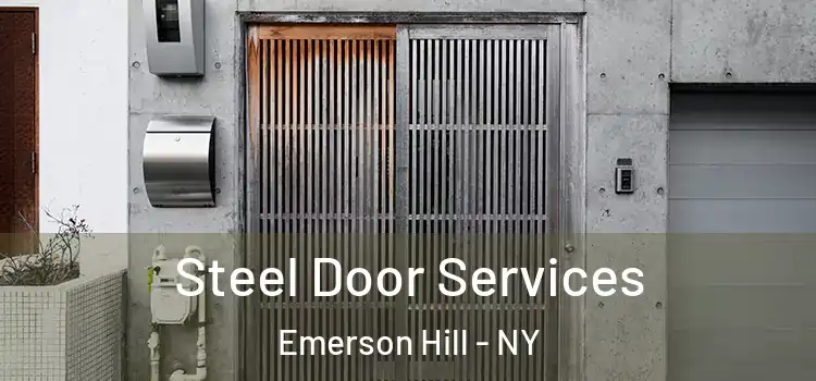  Steel Door Services Emerson Hill - NY