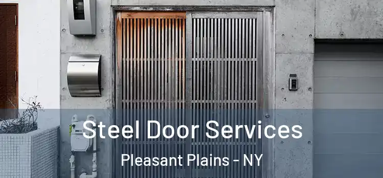  Steel Door Services Pleasant Plains - NY