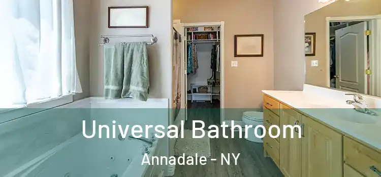  Universal Bathroom Annadale - NY