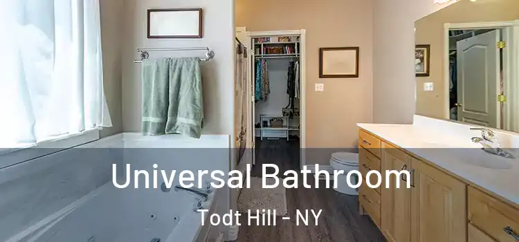  Universal Bathroom Todt Hill - NY