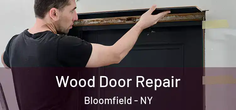  Wood Door Repair Bloomfield - NY